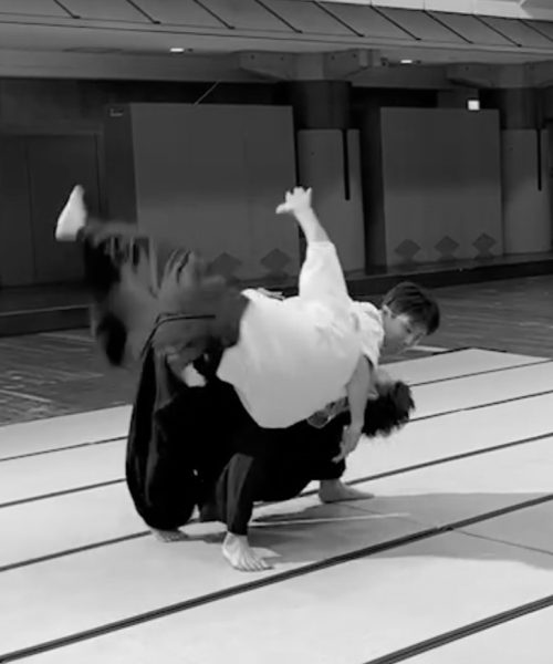 aikido iriminage